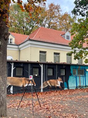 Laserscanning der Schule an der Jungfernheide